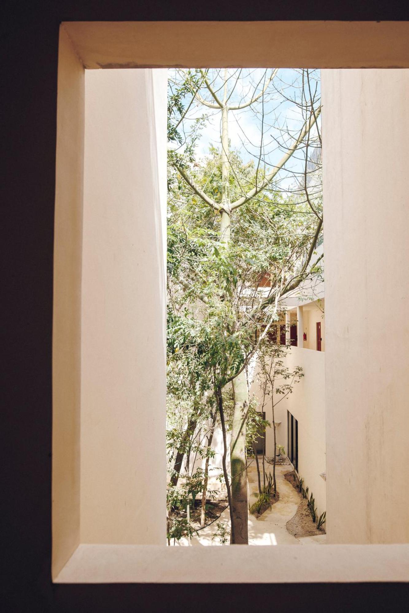 2 Bikes Free Exlusive Building Close To The Sea Tulum Ngoại thất bức ảnh