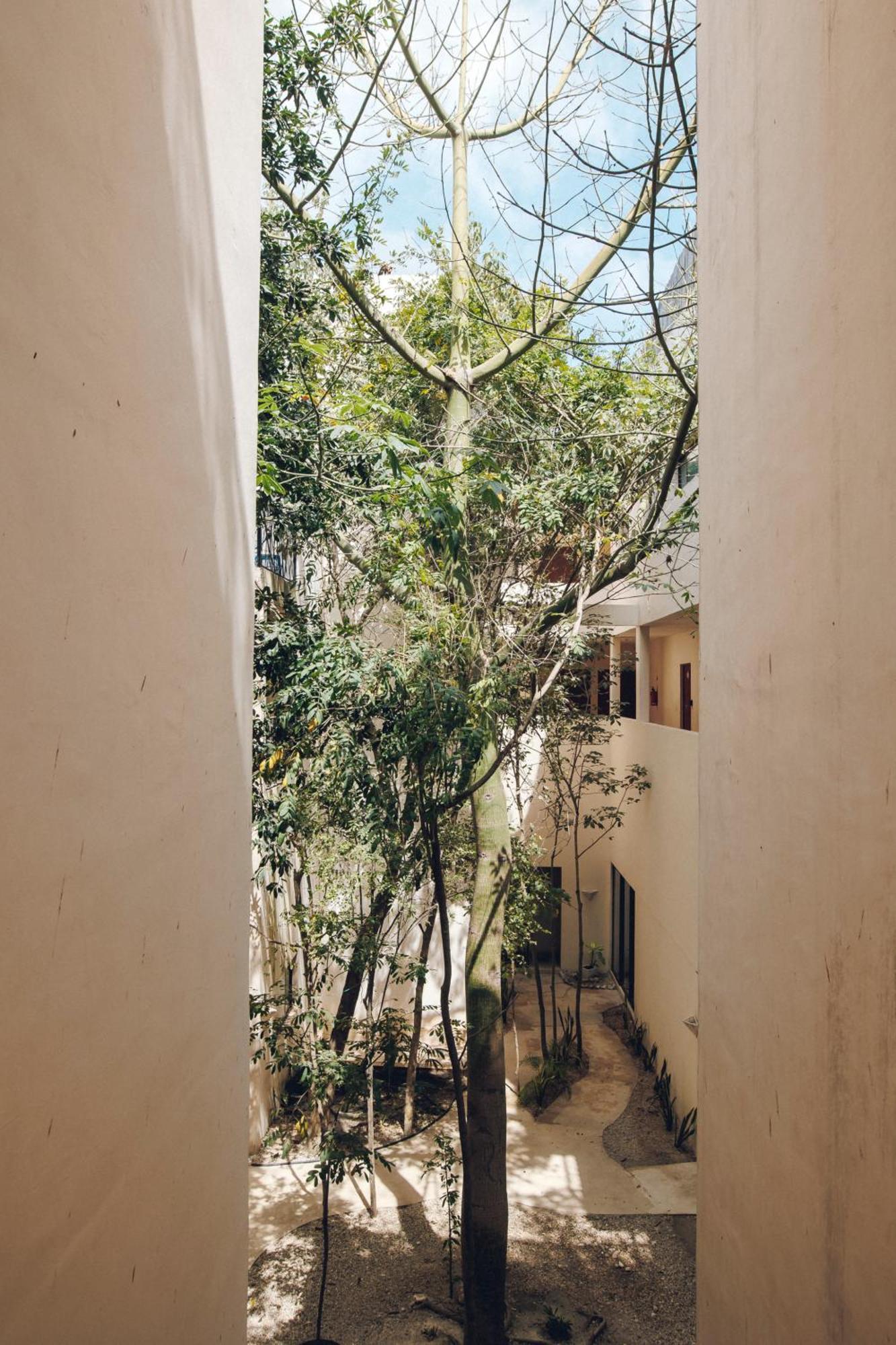 2 Bikes Free Exlusive Building Close To The Sea Tulum Ngoại thất bức ảnh