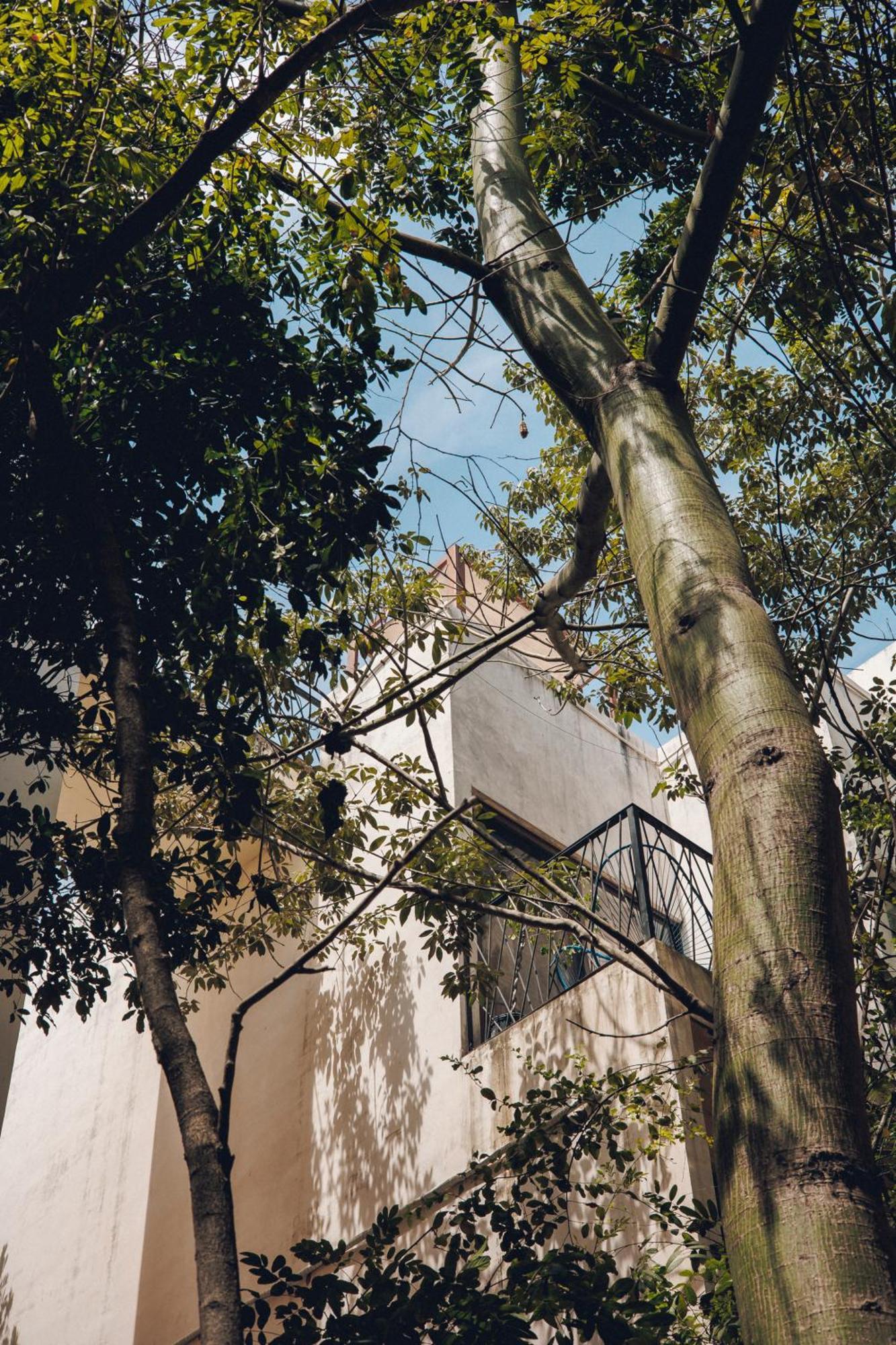 2 Bikes Free Exlusive Building Close To The Sea Tulum Ngoại thất bức ảnh